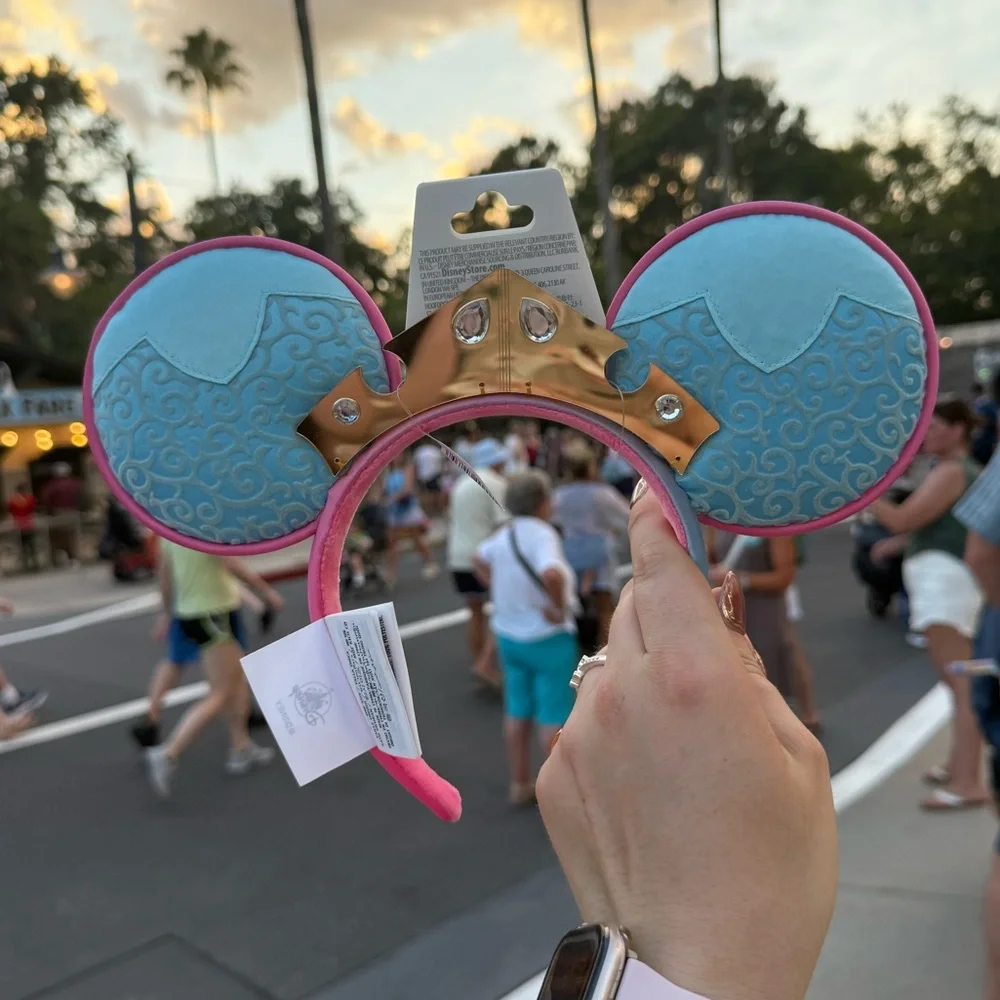 Aurora make it pink make it blue princess ears 💕💙